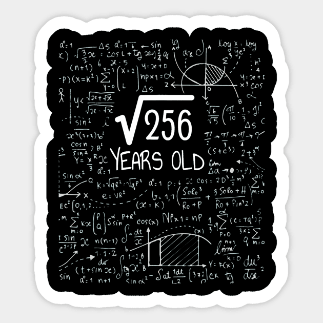 16th Birthday Square Root of Years Old Sticker by Saboia Alves